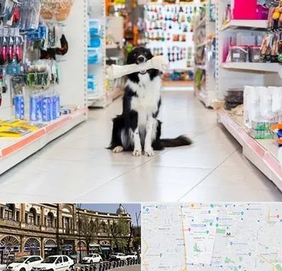 پت شاپ در منطقه 11 تهران