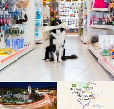 پت شاپ در همدان