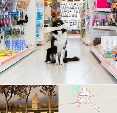 پت شاپ در تویسرکان