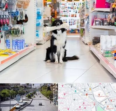 پت شاپ در خیابان زند شیراز