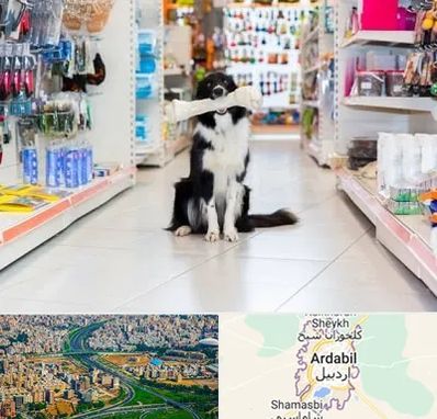 پت شاپ در اردبیل