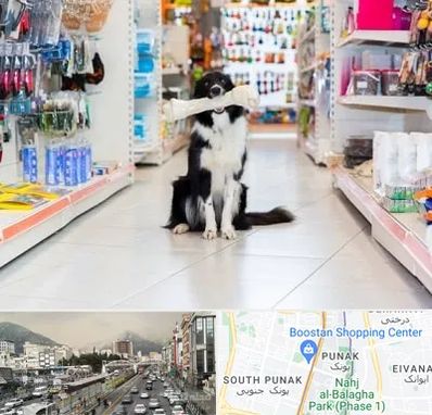 پت شاپ در پونک