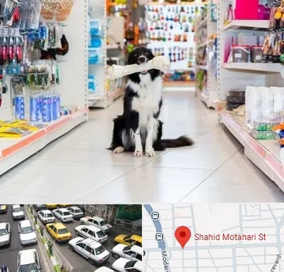 پت شاپ در مطهری تهران