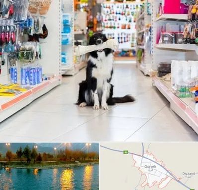 پت شاپ در قروه