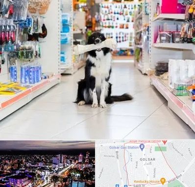 پت شاپ در گلسار رشت