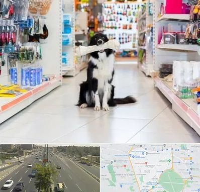 پت شاپ در منطقه 17 تهران