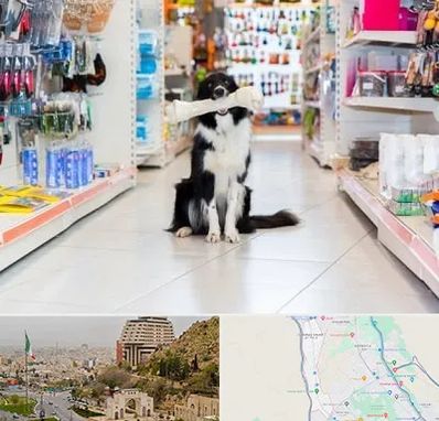 پت شاپ در فرهنگ شهر شیراز