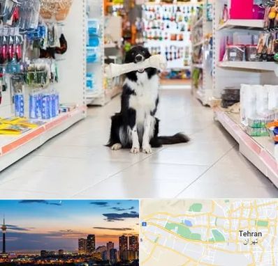 پت شاپ در غرب تهران
