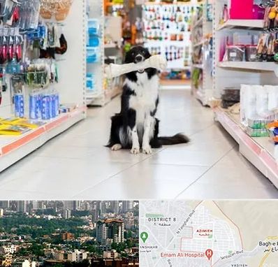 پت شاپ در عظیمیه کرج