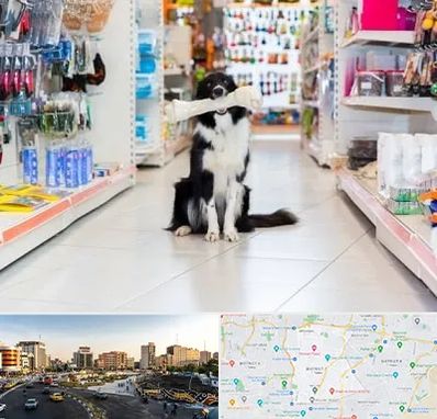 پت شاپ در منطقه 7 تهران