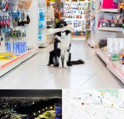 پت شاپ در هفت تیر مشهد