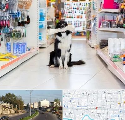 پت شاپ در ضیابری رشت