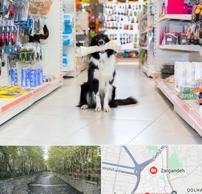پت شاپ در زرگنده