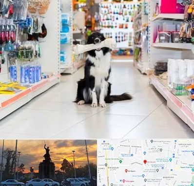 پت شاپ در میدان حر