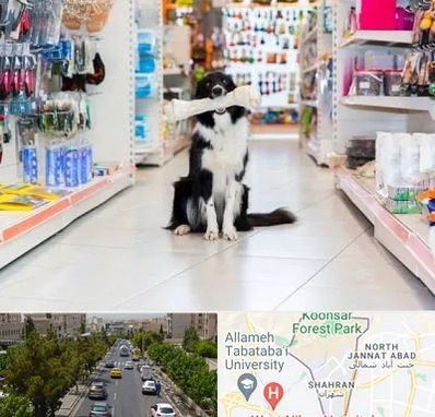 پت شاپ در شهران