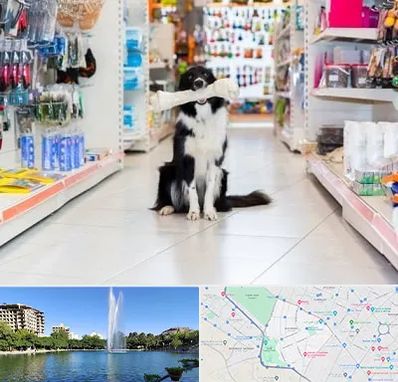 پت شاپ در کوهسنگی مشهد