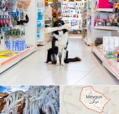 پت شاپ در میگون