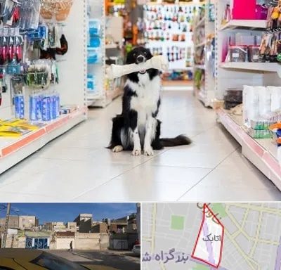 پت شاپ در اتابک