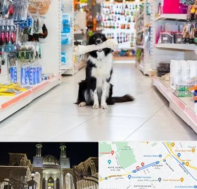 پت شاپ در زرگری شیراز