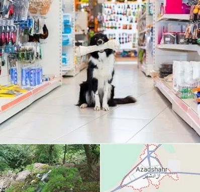 پت شاپ در آزادشهر
