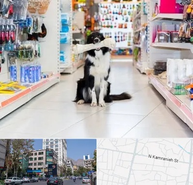 پت شاپ در کامرانیه