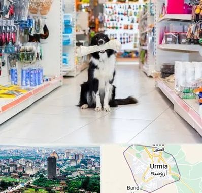 پت شاپ در ارومیه