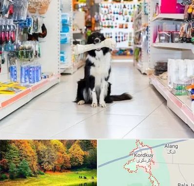 پت شاپ در کردکوی