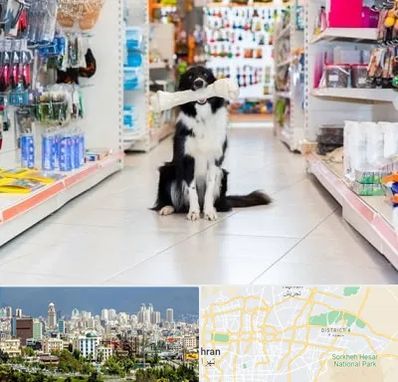 پت شاپ در شرق تهران