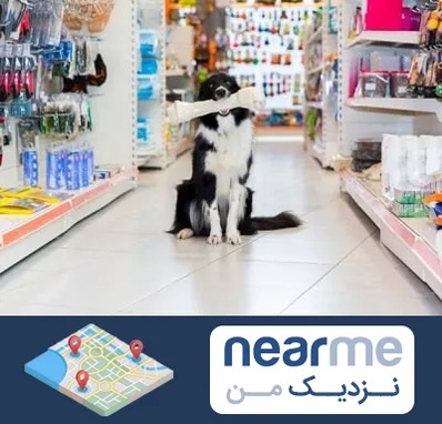 پت شاپ در نزدیک من