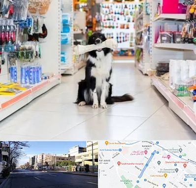 پت شاپ در خیابان ملاصدرا شیراز