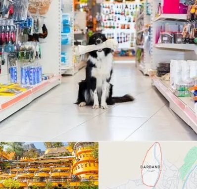 پت شاپ در دربند