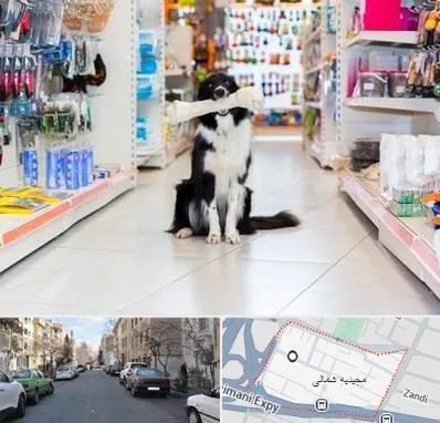 پت شاپ در مجیدیه شمالی