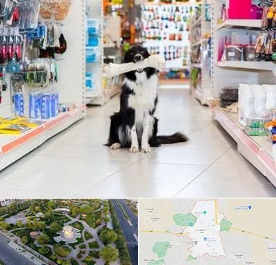 پت شاپ در کاشمر