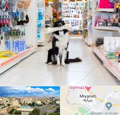 پت شاپ در میانه