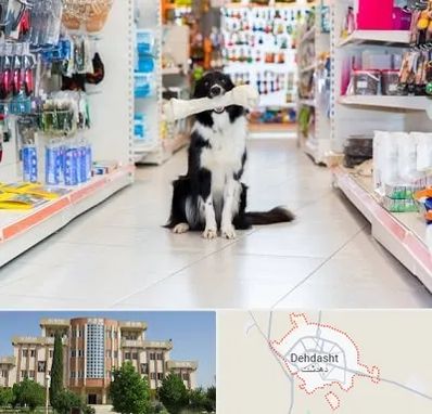 پت شاپ در دهدشت