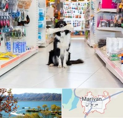 پت شاپ در مریوان