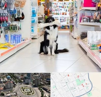 پت شاپ در زرافشان اسلامشهر