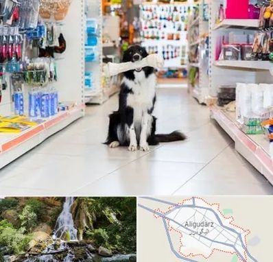 پت شاپ در الیگودرز