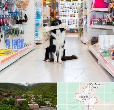 پت شاپ در کلاله