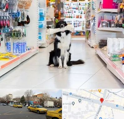 پت شاپ در شهناز تبریز