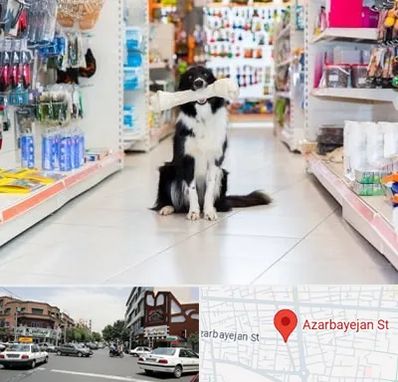 پت شاپ در خیابان آذربایجان