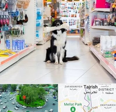 پت شاپ در تجریش