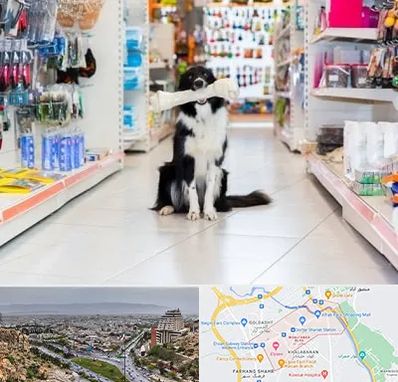 پت شاپ در معالی آباد شیراز