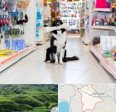 پت شاپ در گچساران