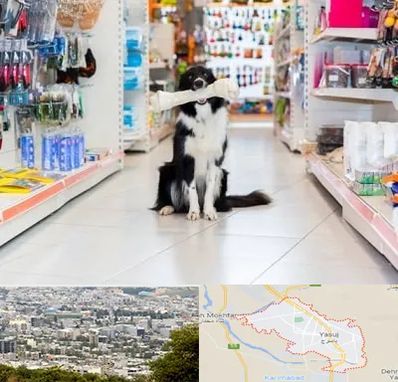 پت شاپ در یاسوج