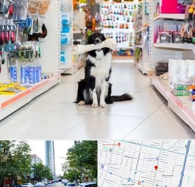 پت شاپ در امامت مشهد