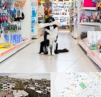 پت شاپ در شمیران نو