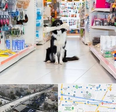 پت شاپ در فرجام