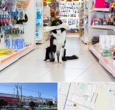 پت شاپ در فاز دو اندیشه