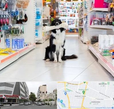 پت شاپ در بلوار فردوس